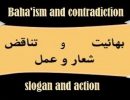slogan-action