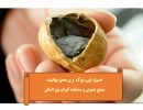 اصول تهی مغز بهائیت -صلح عمومی و محکمه کبرای بین‌المللی