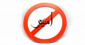 حاشیه سازی‌های بی‌مبنا در مورد اسم امیر