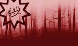 Man walking in the misty woods