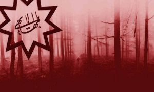 Man walking in the misty woods