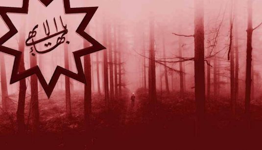 Man walking in the misty woods