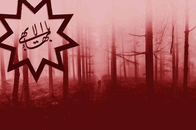 Man walking in the misty woods