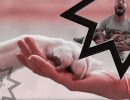 تشکیلاتی با راهبرد نان به نرح روز خور